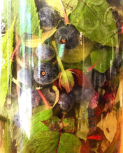 Load image into Gallery viewer, Seasonal Herbal Shrub
