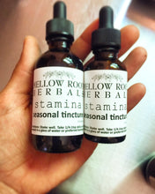 Load image into Gallery viewer, Seasonal Tinctures/Elixirs
