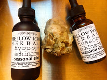 Load image into Gallery viewer, Seasonal Tinctures/Elixirs
