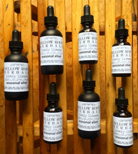 Load image into Gallery viewer, Seasonal Tinctures/Elixirs
