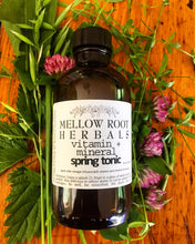 Load image into Gallery viewer, Seasonal Herbal Oxymel
