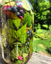 Load image into Gallery viewer, Seasonal Herbal Shrub
